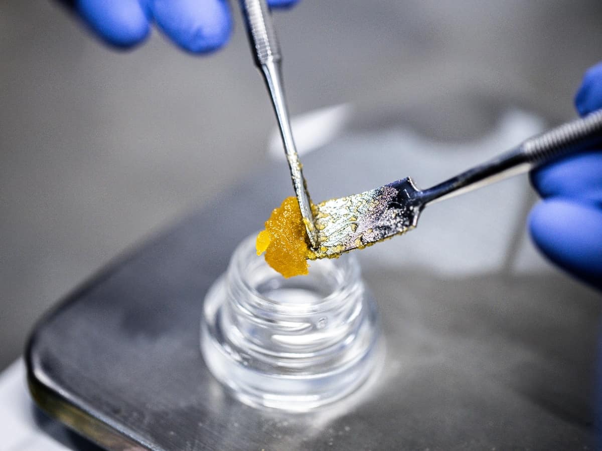 CBD Wax between two dab tools in a glass jar on a black phone