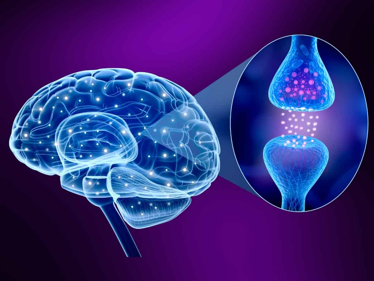 Close up of a brain with activated receptors with a zoom in on an operating cannabinoid receptor in blue with purple background