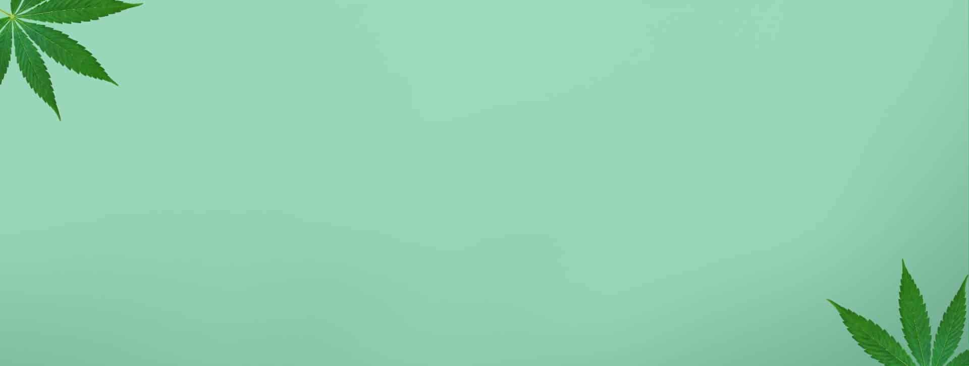 Black Friday CBD Deals