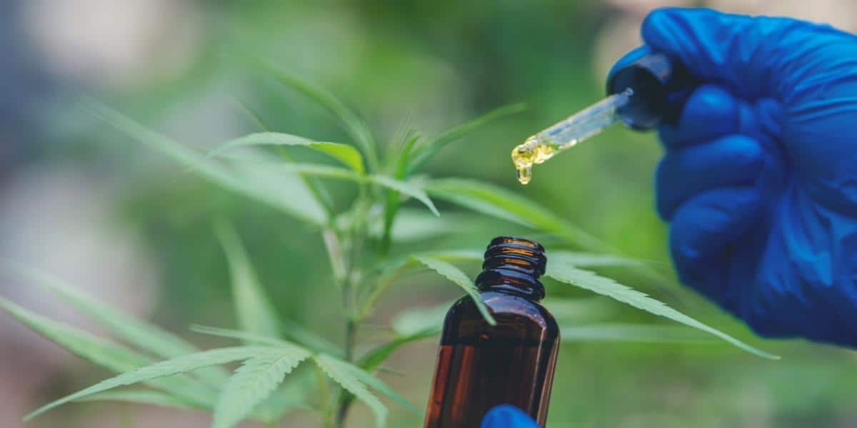 A simple guide to CBD Dosage for beginners blog cover