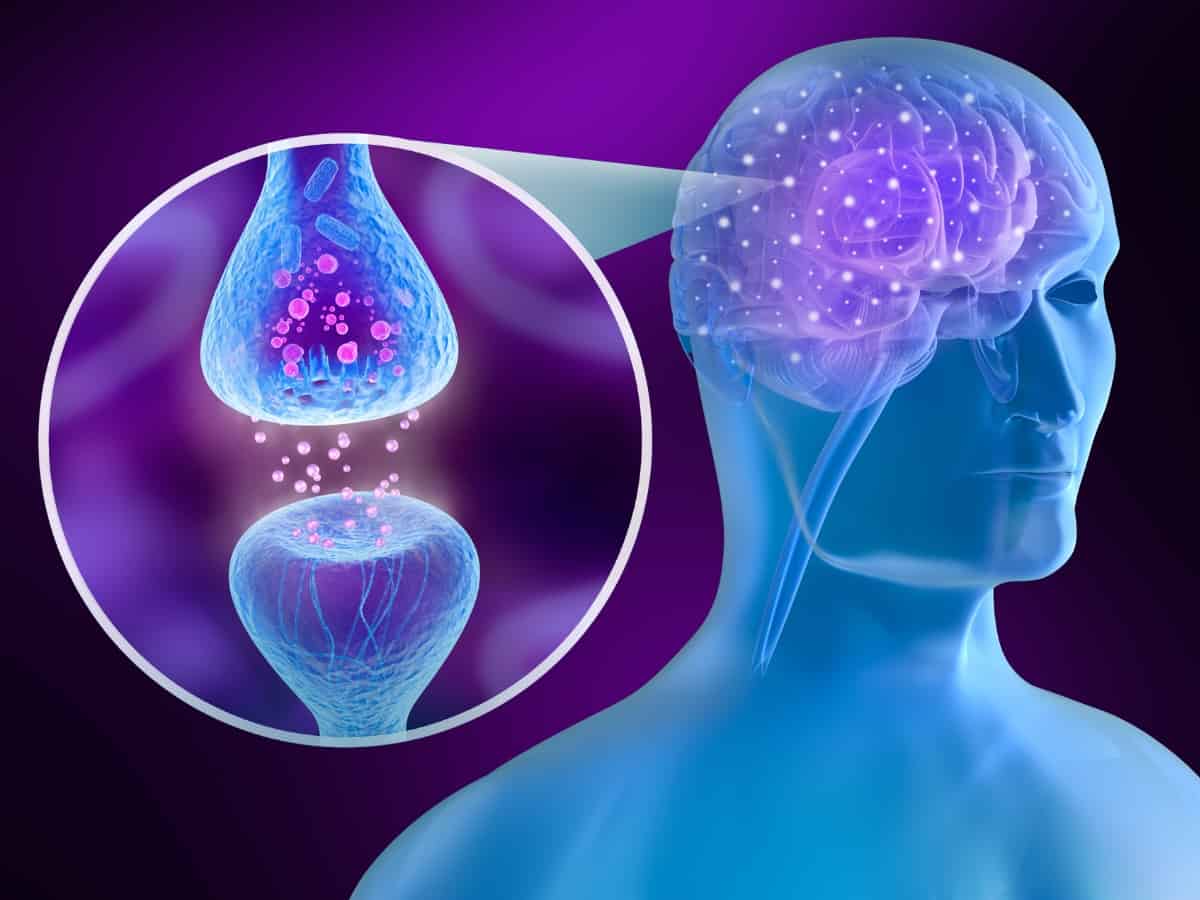 Illustration of a blue human with a close up of a cannabinoid receptor in the endocannabinoid system within the brain purple background