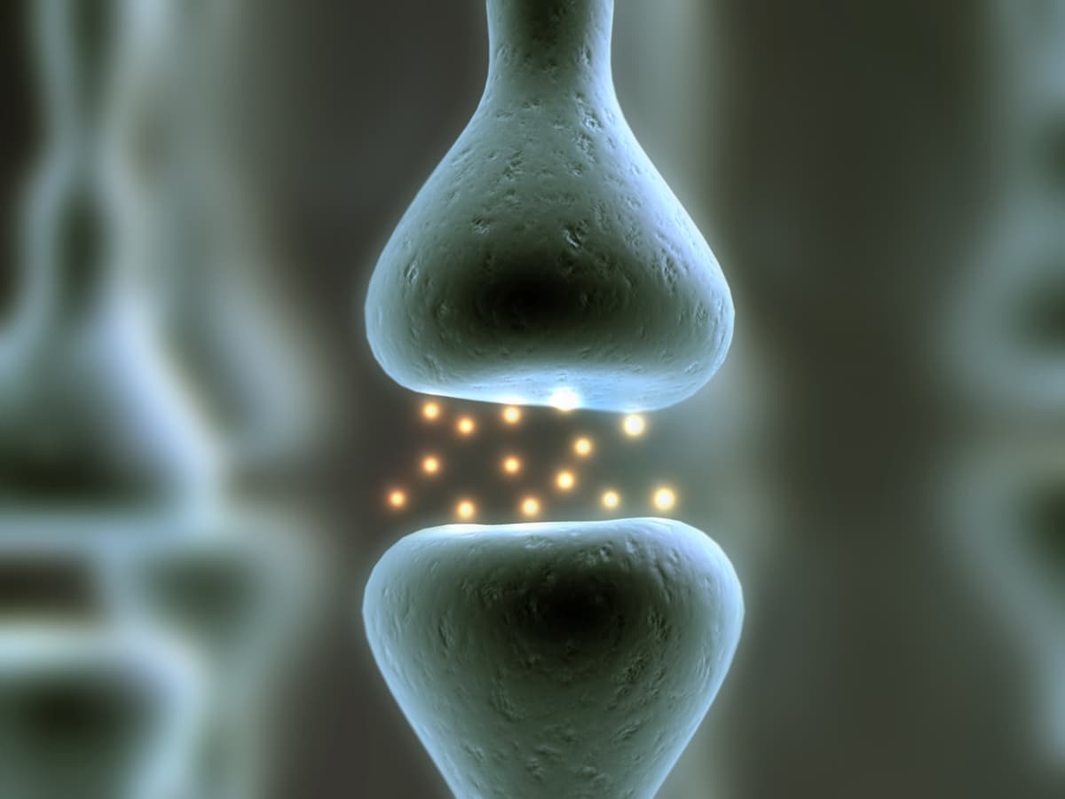 Close up of a cannabinoid receptor and endocannabinoid system molecules firing