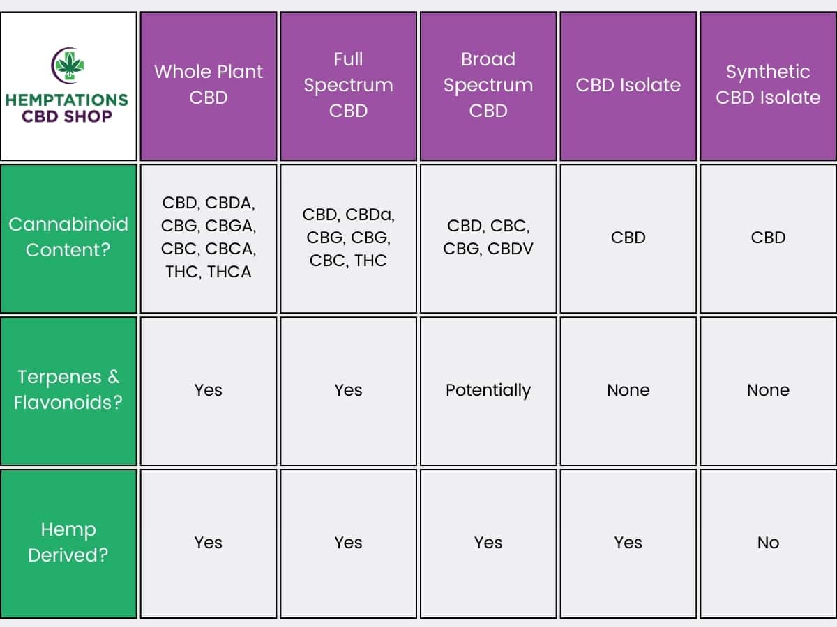 Table breaking down full spectrum, broad spectrum, cbd isolate, whole plant and synthetic cbd forms by their potential cannabinoid content, terpene and flavonoid content and whether they are hemp derived with hemptations logo and green and purple and white colours