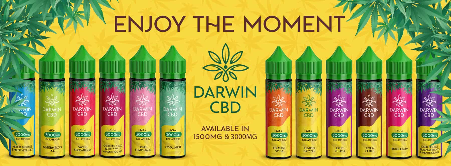 Darwin CBD vape juice enjoy the moment banner