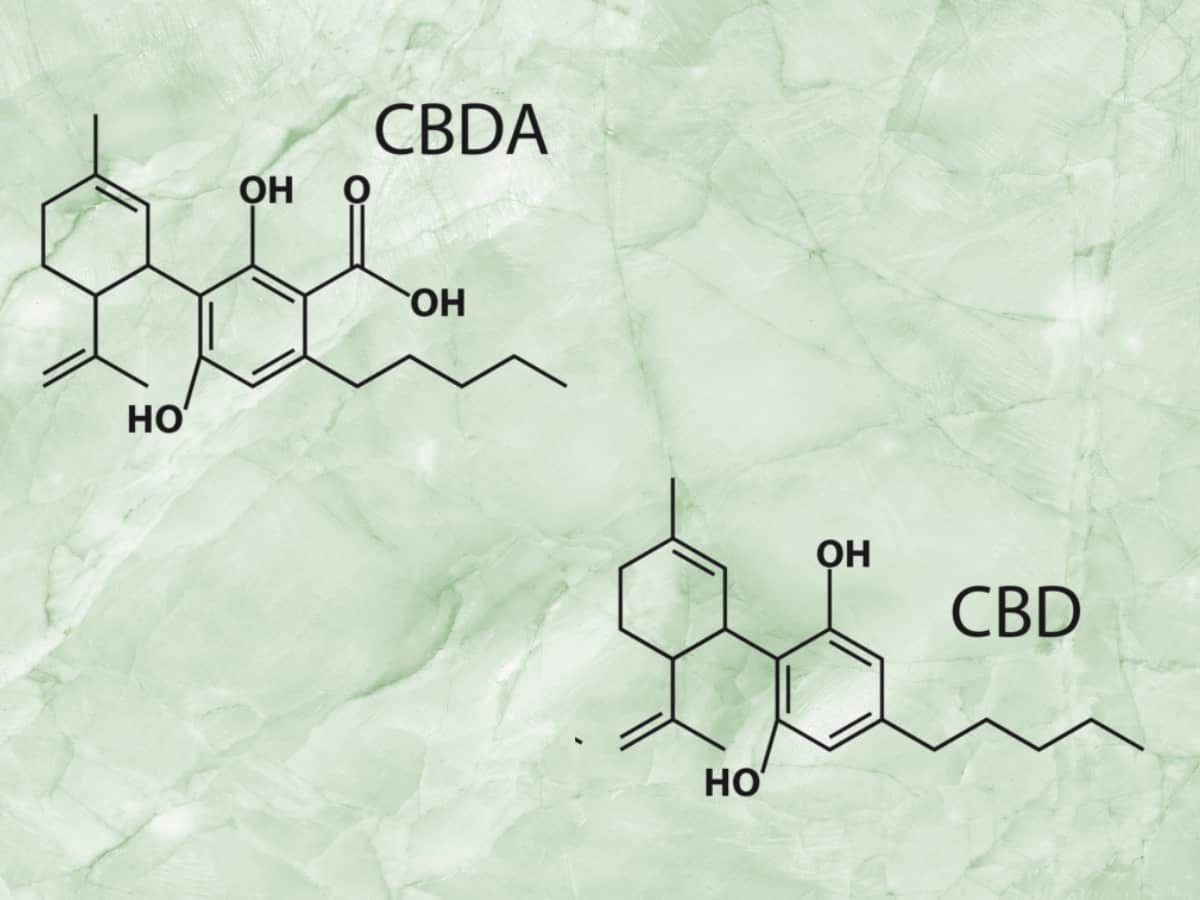 CBDa molecule beside the CBD molecule green & white background