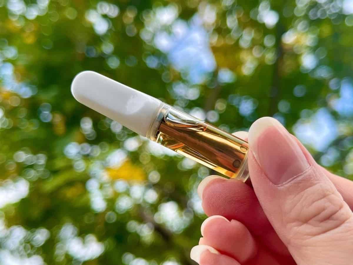 CCELL Cart filled with extract in hand with trees and sky background