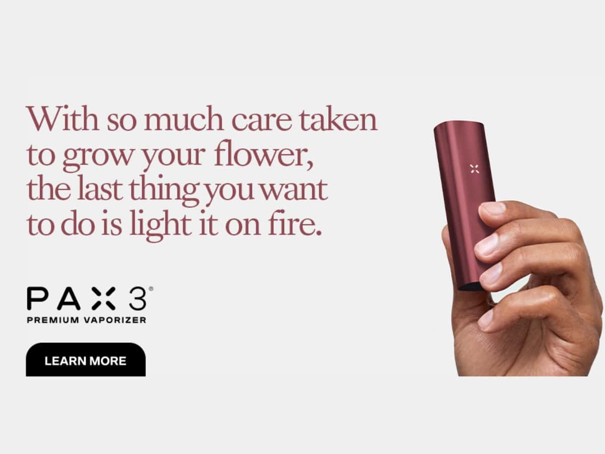 With so much care taken to grow your flower the last thing you want to do is light it on fire PAX Burgundy Dry Herb Vape