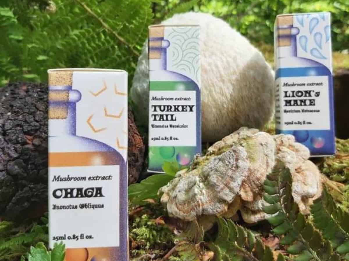 SporeShore Mushroom Extract Tinctures by mushrooms forest background