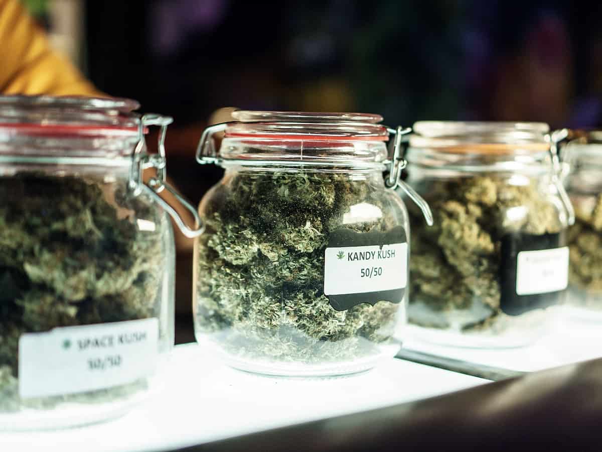 Cannabis Flowers in glass on shelf by strain