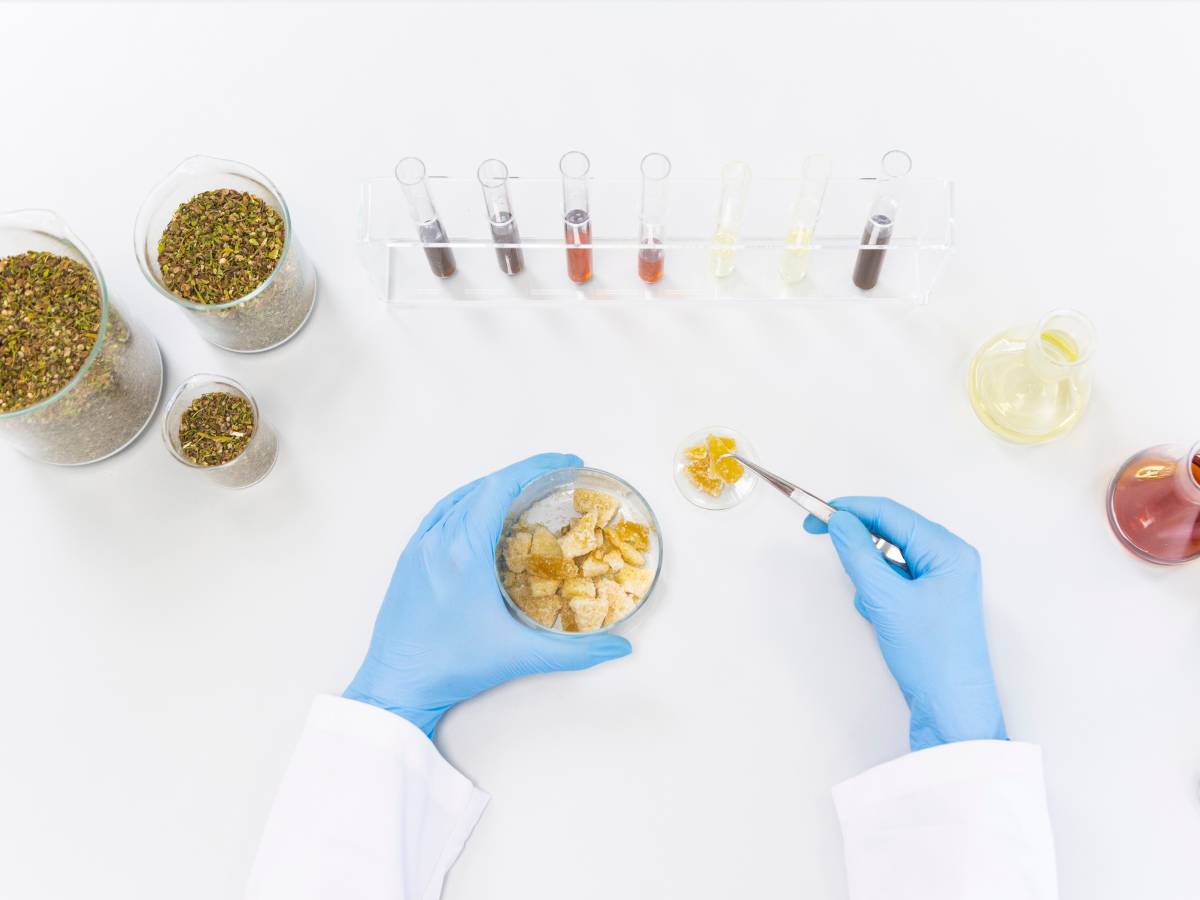 scientist extracting CBD cannabinoids from flower with jars of ground flower and wax crumble in a petri dish