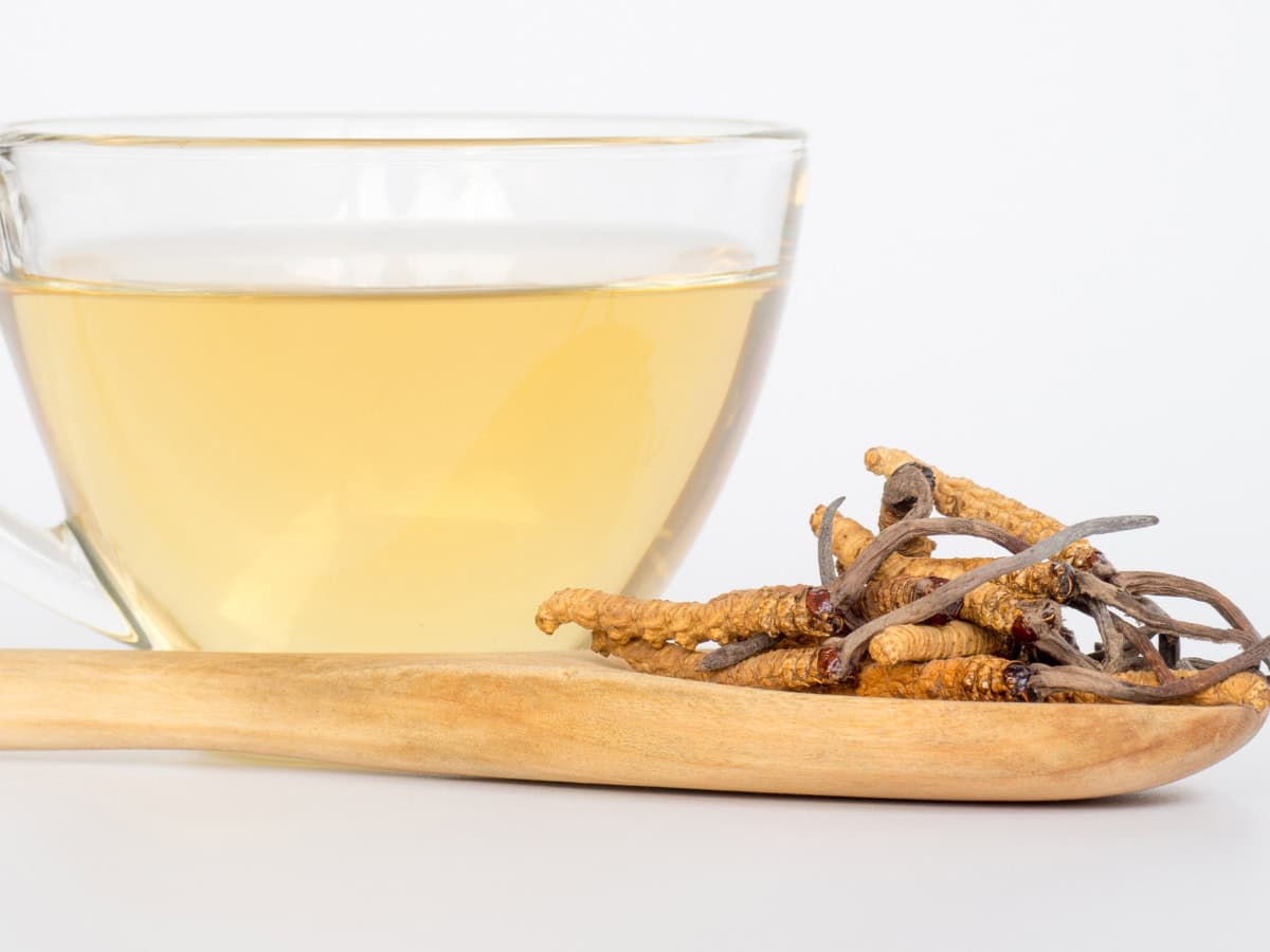 a clear glass cup of cordyceps tea, with a wooden spoon of cordyceps mushrooms in front of it