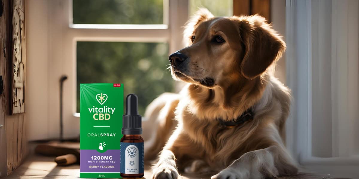 Dog looking left with window behind him and cbd oil bottles on the table in front.