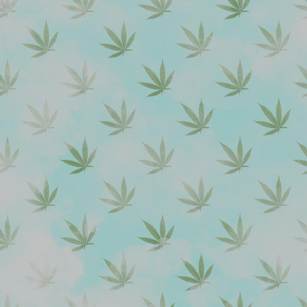 Cannabis leaves with smoke on green background