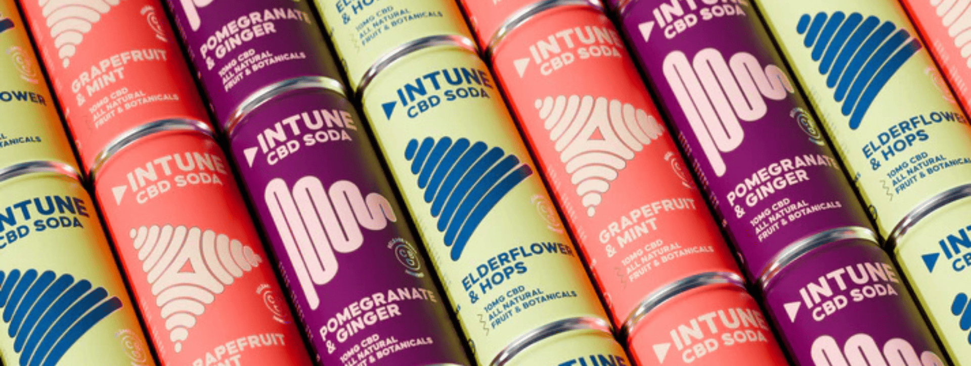 IINTUNE CBD Drinks all lined up side by side multiple cans of all flavours