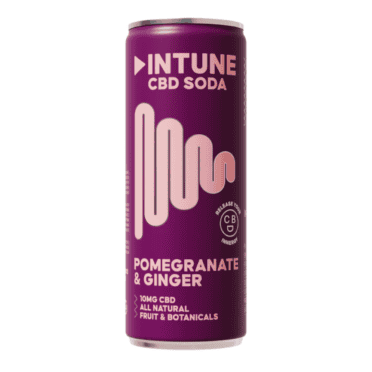 INTUNE POMEGRANATE & GINGER CBD DRINK white background